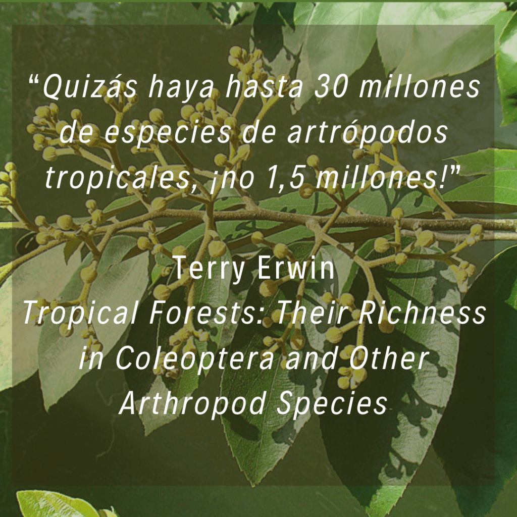 Terry Erwin: Quizás haya hasta 30 millones de especies de artrópodos tropicales, ¡no 1,5 millones!