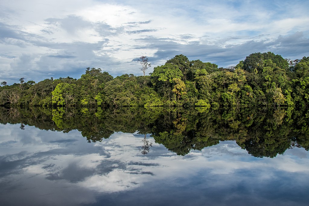 Parque nacional del Jaú (Brasil)
