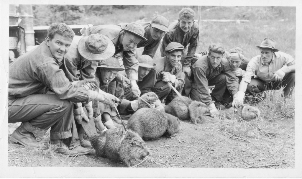 Jóvenes del Civilian Conservation Corps posan junto a castores que serán liberados en los bosques de Idaho (Estados Unidos). Año: 1938