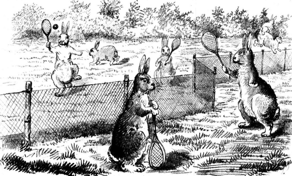 ¿Cómo frenar una invasión de conejos?