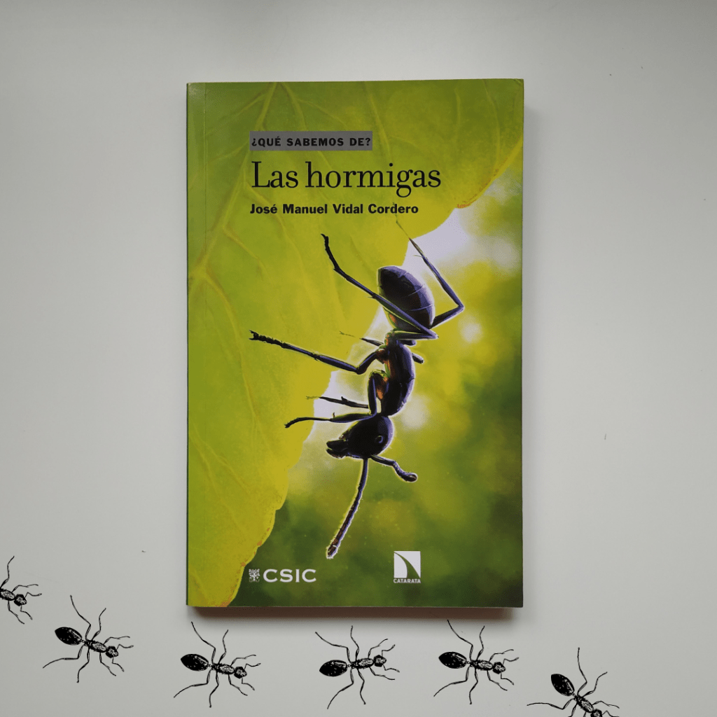 José Manuel Vidal Cordero, Las hormigas