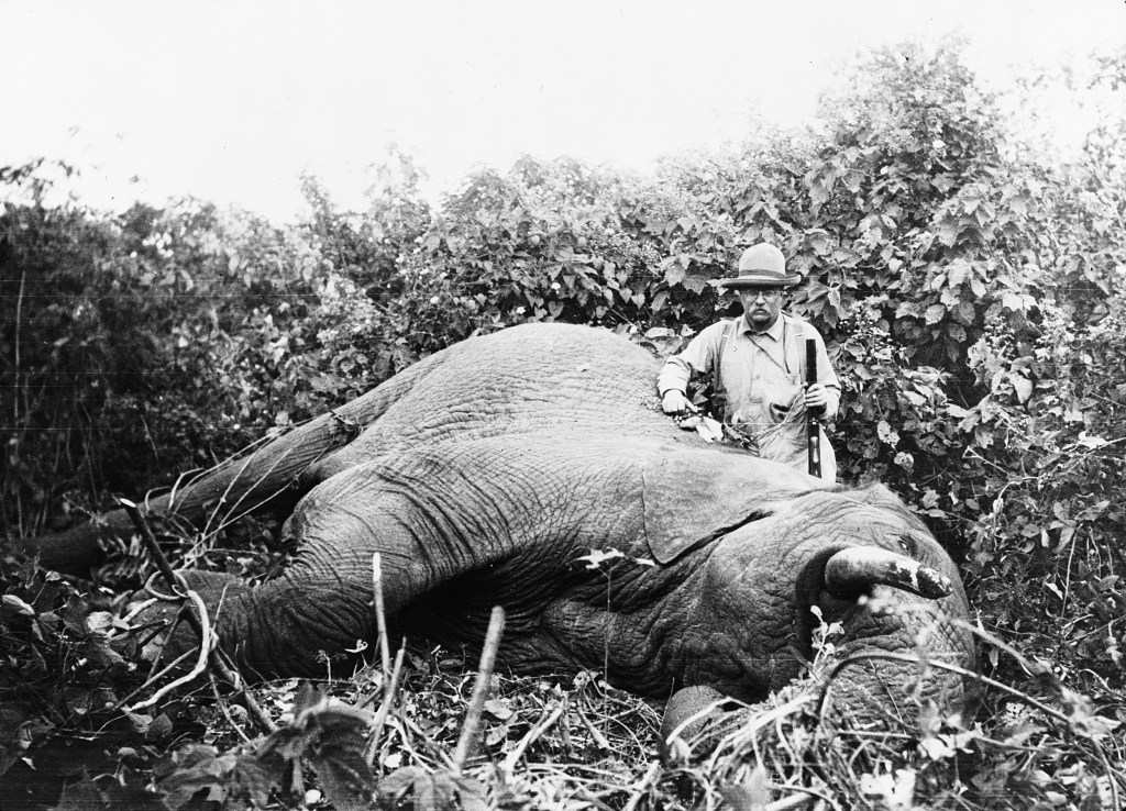 Theodore Roosevelt posa junto a un elefante abatido en África.