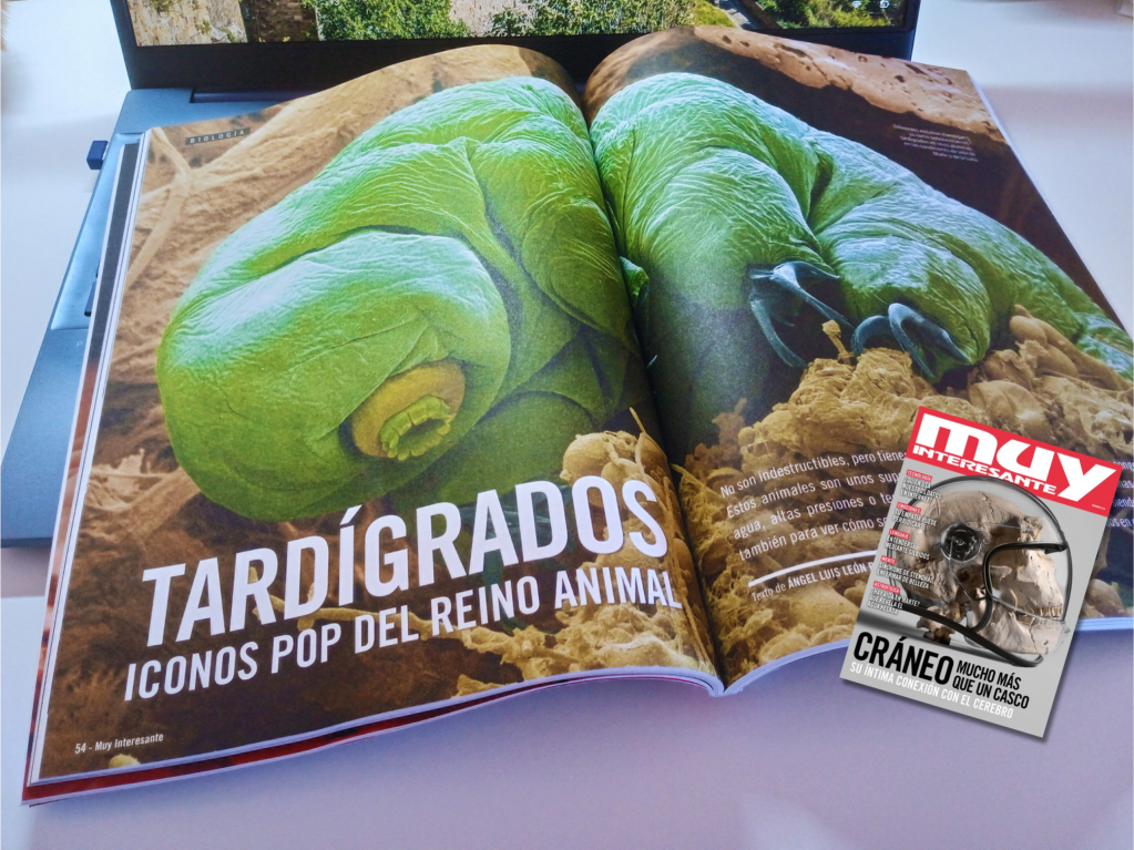 Tardígrados, iconos pop del reino&nbsp;animal